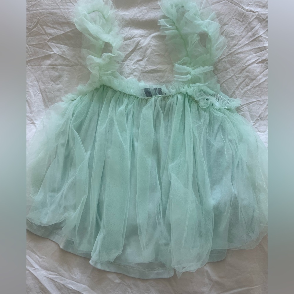Anthropologie Tulle crop Top